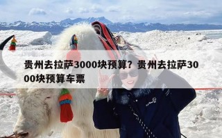 贵州去拉萨3000块预算？贵州去拉萨3000块预算车票