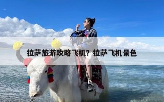 拉萨旅游攻略飞机？拉萨飞机景色
