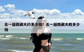 去一趟西藏大约多少钱？去一趟西藏大概多少钱