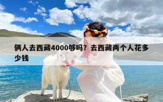 俩人去西藏4000够吗？去西藏两个人花多少钱