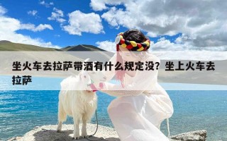 坐火车去拉萨带酒有什么规定没？坐上火车去拉萨