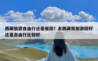 西藏旅游自由行还是报团？去西藏报旅游团好还是自由行比较好