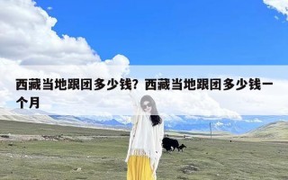 西藏当地跟团多少钱？西藏当地跟团多少钱一个月