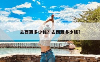 去西藏多少钱？去西藏多少钱?