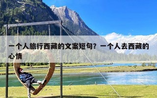 一个人旅行西藏的文案短句？一个人去西藏的心情