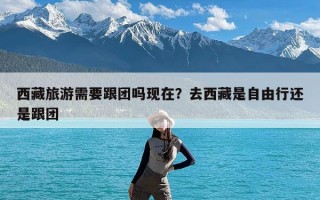 西藏旅游需要跟团吗现在？去西藏是自由行还是跟团