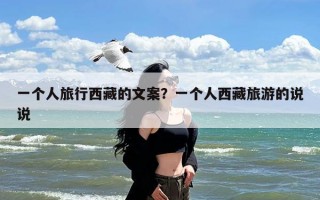 一个人旅行西藏的文案？一个人西藏旅游的说说