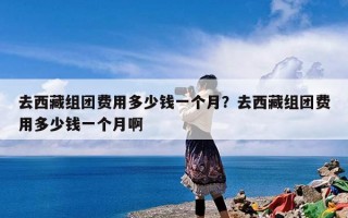 去西藏组团费用多少钱一个月？去西藏组团费用多少钱一个月啊