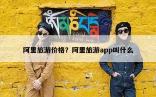 阿里旅游价格？阿里旅游app叫什么