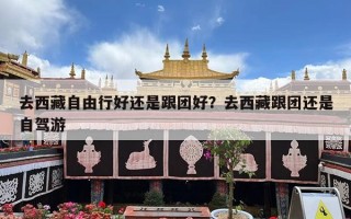 去西藏自由行好还是跟团好？去西藏跟团还是自驾游