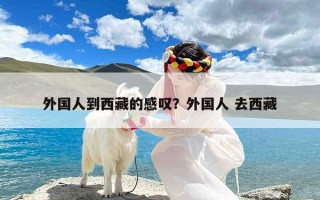 外国人到西藏的感叹？外国人 去西藏