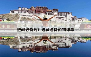 进藏必备药？进藏必备药物详单