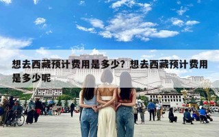 想去西藏预计费用是多少？想去西藏预计费用是多少呢