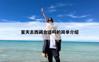 夏天去西藏合适吗的简单介绍