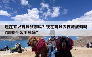 现在可以西藏旅游吗？现在可以去西藏旅游吗?需要什么手续吗?