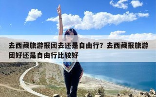 去西藏旅游报团去还是自由行？去西藏报旅游团好还是自由行比较好
