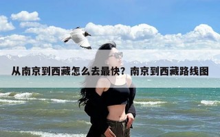 从南京到西藏怎么去最快？南京到西藏路线图