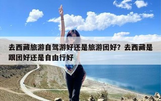 去西藏旅游自驾游好还是旅游团好？去西藏是跟团好还是自由行好