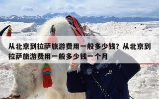 从北京到拉萨旅游费用一般多少钱？从北京到拉萨旅游费用一般多少钱一个月