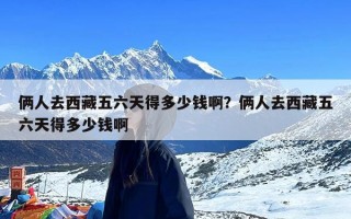 俩人去西藏五六天得多少钱啊？俩人去西藏五六天得多少钱啊