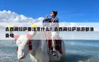 去西藏拉萨要注意什么？去西藏拉萨旅游都准备啥