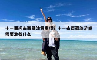 十一期间去西藏注意事项？十一去西藏旅游都需要准备什么