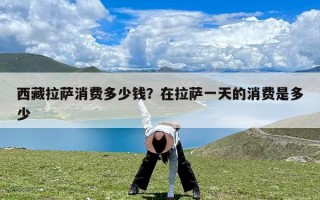 西藏拉萨消费多少钱？在拉萨一天的消费是多少