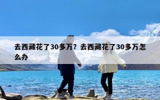 去西藏花了30多万？去西藏花了30多万怎么办