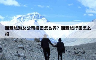 西藏旅游总公司报团怎么弄？西藏旅行团怎么报