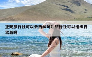 正规旅行社可以去西藏吗？旅行社可以组织自驾游吗
