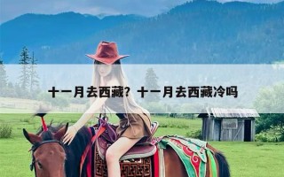十一月去西藏？十一月去西藏冷吗
