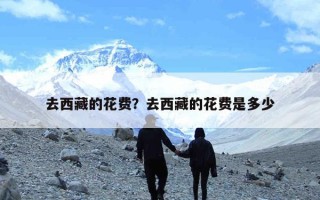 去西藏的花费？去西藏的花费是多少