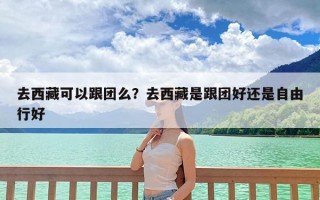 去西藏可以跟团么？去西藏是跟团好还是自由行好