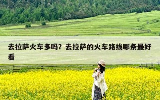 去拉萨火车多吗？去拉萨的火车路线哪条最好看