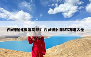 西藏随团旅游功略？西藏随团旅游功略大全