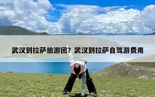 武汉到拉萨旅游团？武汉到拉萨自驾游费用