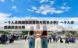 一个人去西藏旅游费用大概多少啊？一个人去西藏旅游攻略