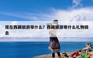 现在西藏旅游带什么？西藏旅游带什么礼物回去