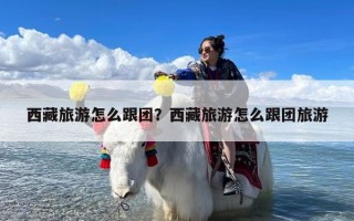 西藏旅游怎么跟团？西藏旅游怎么跟团旅游