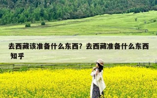 去西藏该准备什么东西？去西藏准备什么东西 知乎