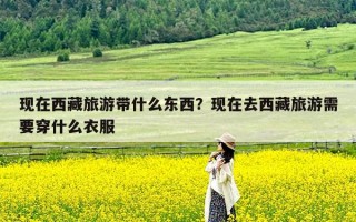 现在西藏旅游带什么东西？现在去西藏旅游需要穿什么衣服