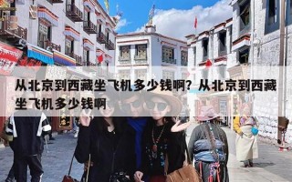 从北京到西藏坐飞机多少钱啊？从北京到西藏坐飞机多少钱啊