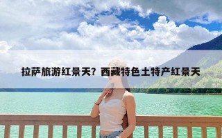 拉萨旅游红景天？西藏特色土特产红景天