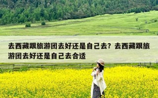 去西藏跟旅游团去好还是自己去？去西藏跟旅游团去好还是自己去合适