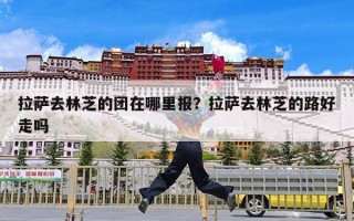 拉萨去林芝的团在哪里报？拉萨去林芝的路好走吗