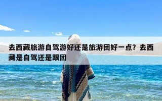 去西藏旅游自驾游好还是旅游团好一点？去西藏是自驾还是跟团