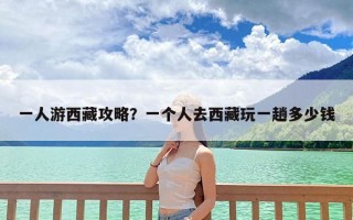 一人游西藏攻略？一个人去西藏玩一趟多少钱