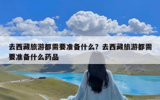 去西藏旅游都需要准备什么？去西藏旅游都需要准备什么药品