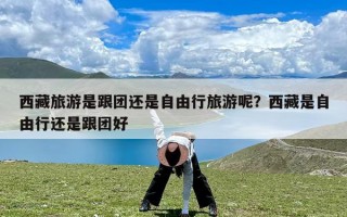 西藏旅游是跟团还是自由行旅游呢？西藏是自由行还是跟团好