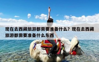 现在去西藏旅游都需要准备什么？现在去西藏旅游都需要准备什么东西